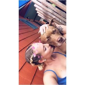 Meet your Posher, Joy